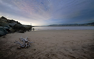gray sand, landscape, ventura beach