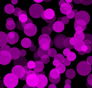 purple bokeh photo