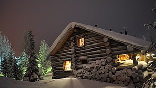 brown wooden lounge, house, landscape, nature, snow