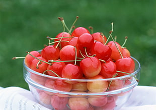 bowl of red cherries