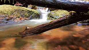 waterfalls, iPhone 6, nature, landscape HD wallpaper