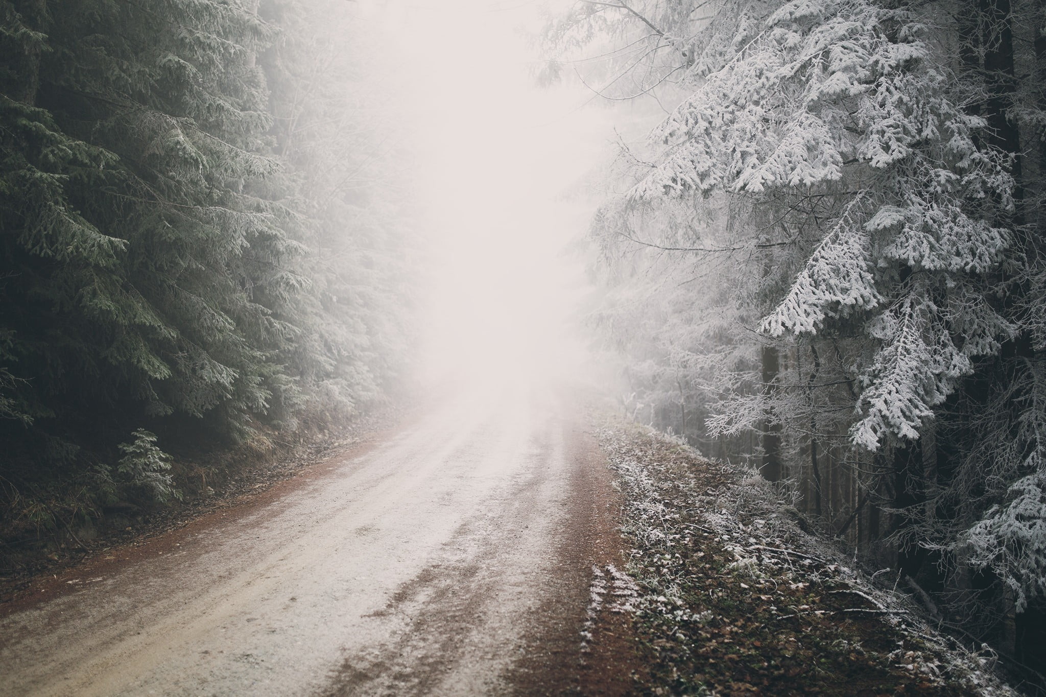Зимнее утро дорога. Заснеженная дорога. Зимняя дорога в лесу. Зимняя Лесная дорога. Туман зимой.
