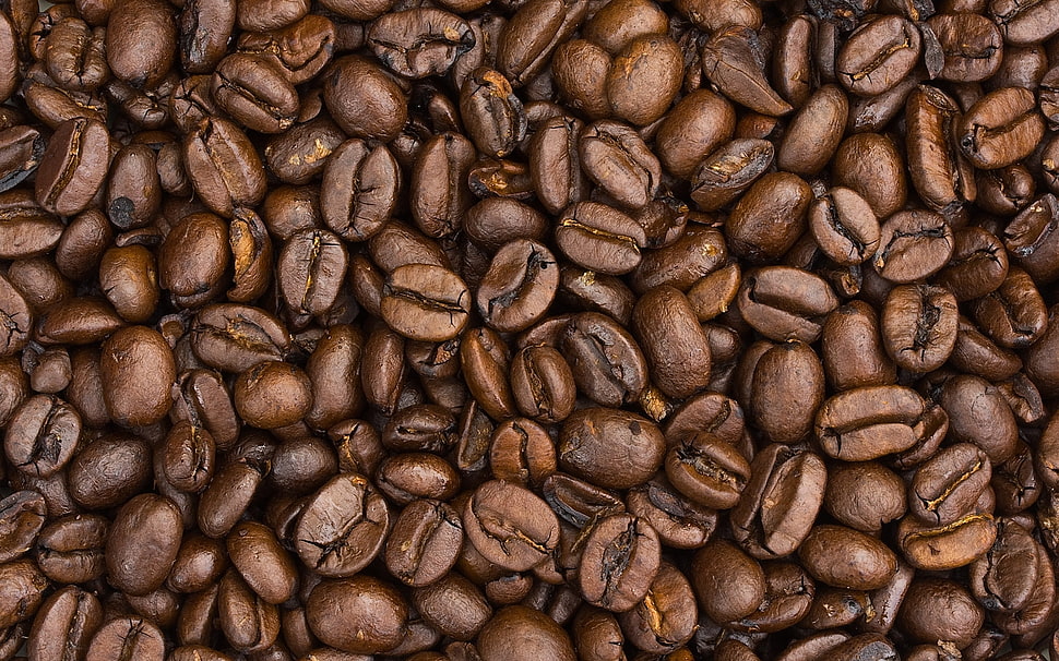 coffee beans HD wallpaper