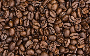 coffee beans