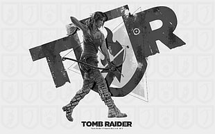 Tomb Raider digital wallpaper, Tomb Raider