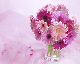 photo of pink and purple Daisy flower bouquet