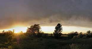 golden hour in green hill during cloudy day