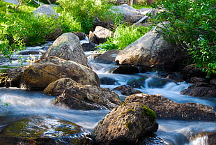 river and green shrubs photo, wind river