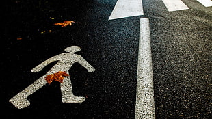 pedestrian lane, leaves, humor, road HD wallpaper