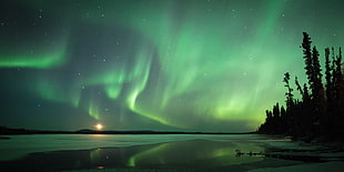 aurora over body of water near trees HD wallpaper