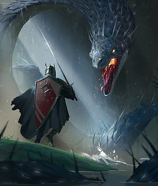 dragon and knight illustration, fantasy art, knight, dragon HD wallpaper