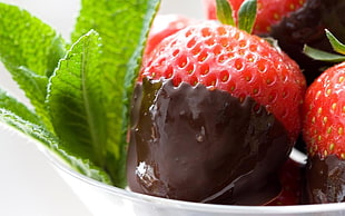 chocolate dip strawberries