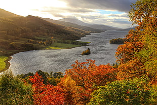 trees beside a river and mountains at daytime, loch tummel