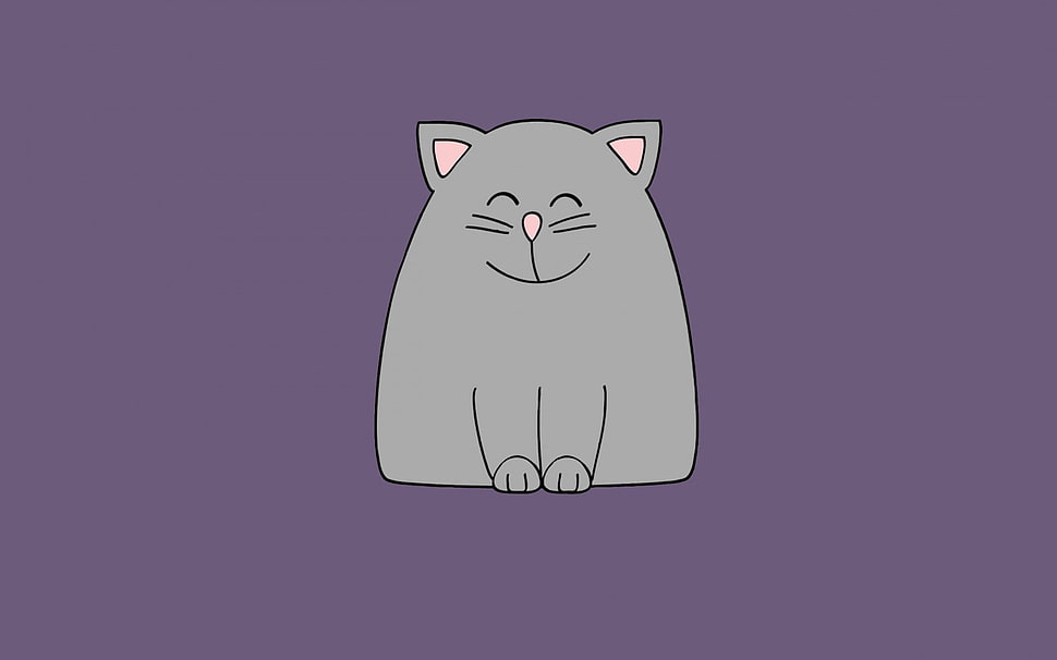 gray cat with purple background illustration HD wallpaper