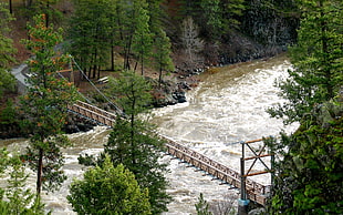 aerial photo of suspension bridge above river