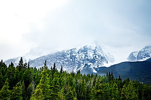 Banff National Park, Mountains, Snow, Peaks