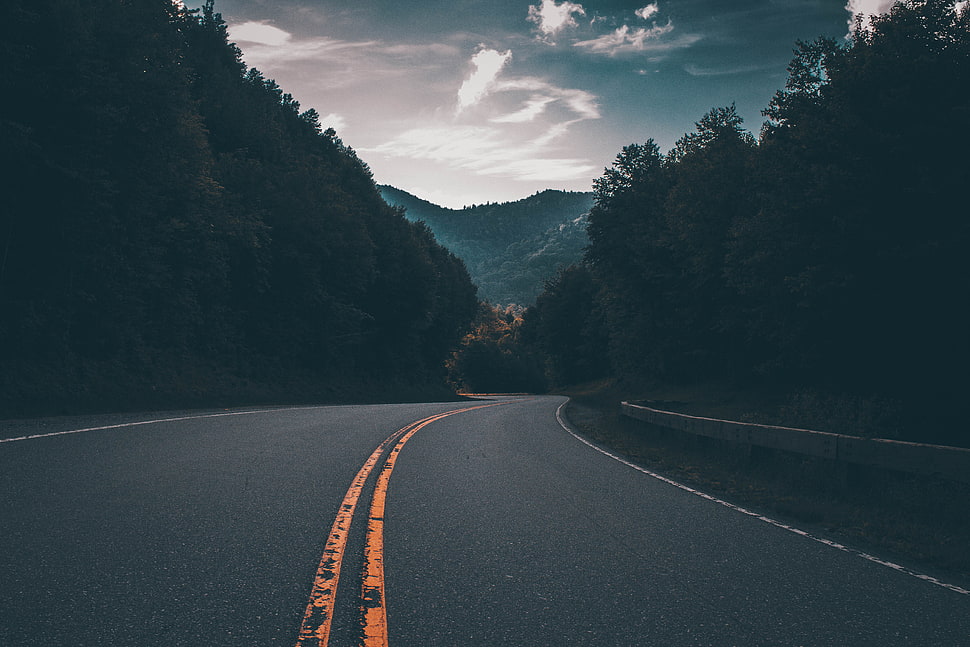 concrete road between green trees HD wallpaper