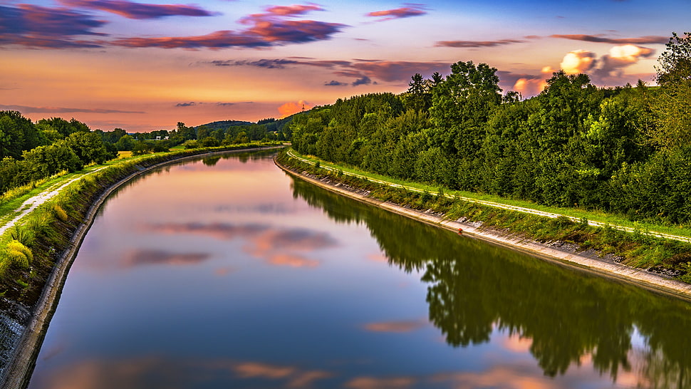 green leaf trees, River, Trees, Turn HD wallpaper