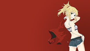 female anime character in white crop top wallpaper, Fate Series, Saber, Saber of Red
