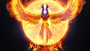 phoenix illustration, phoenix, Dota, video games