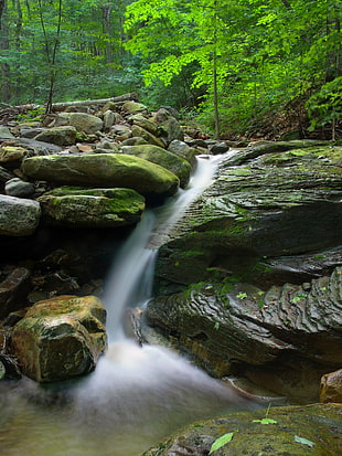 running water between green stone formation near green woods, blackberry HD wallpaper