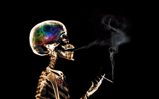 skeleton smoking artwork, skeleton, smoking, skull, colorful HD wallpaper