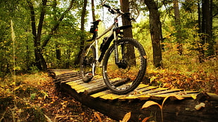 gray and black hardtail bike, bicycle, nature