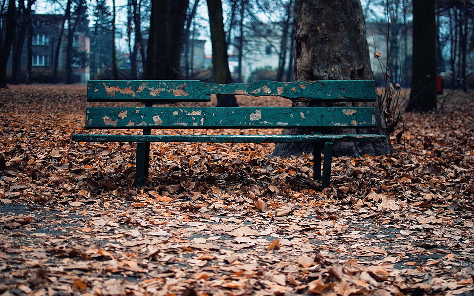 green metal bench, fall, bench, leaves HD wallpaper
