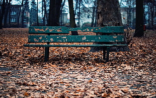 green metal bench, fall, bench, leaves