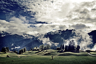 green grass lawn with trees near mountain under blue and white cloudy sky