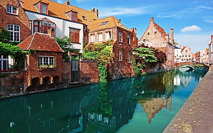 brown concrete building near body of water photo, Bruges, nature, city, Belgium HD wallpaper