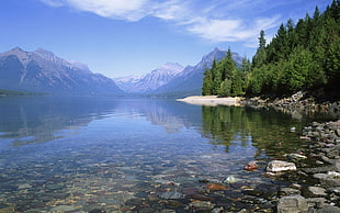landscape photography of body of water with mountain and near trees