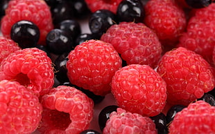 closeup photo of bunch of red raspberries
