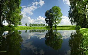 body of water surrounded by trees under blue sky and clouds