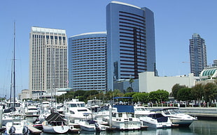 grey high rise buildings over white yachts