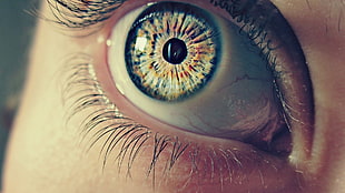 closeup view of person's blue eye HD wallpaper