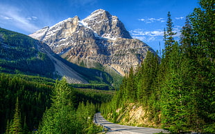 landscape, Canada HD wallpaper