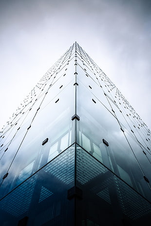 low angle photo of curtain wall building, architecture