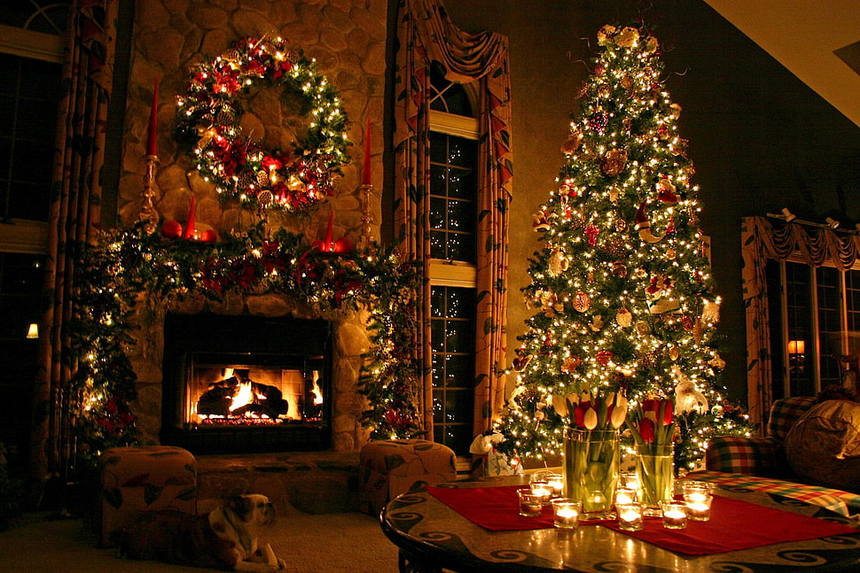 Assorted Christmas Decorations HD wallpaper