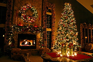 Assorted Christmas Decorations