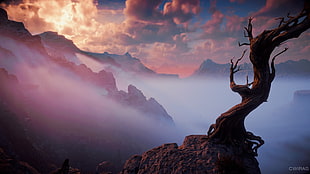 bare tree illustration, 4Gamers, Horizon: Zero Dawn, PlayStation, PlayStation 4 HD wallpaper