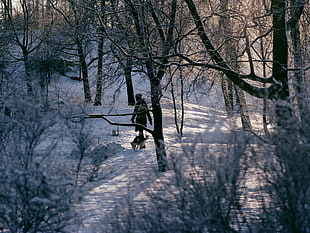 person in black hooded coat walking snowy forest HD wallpaper