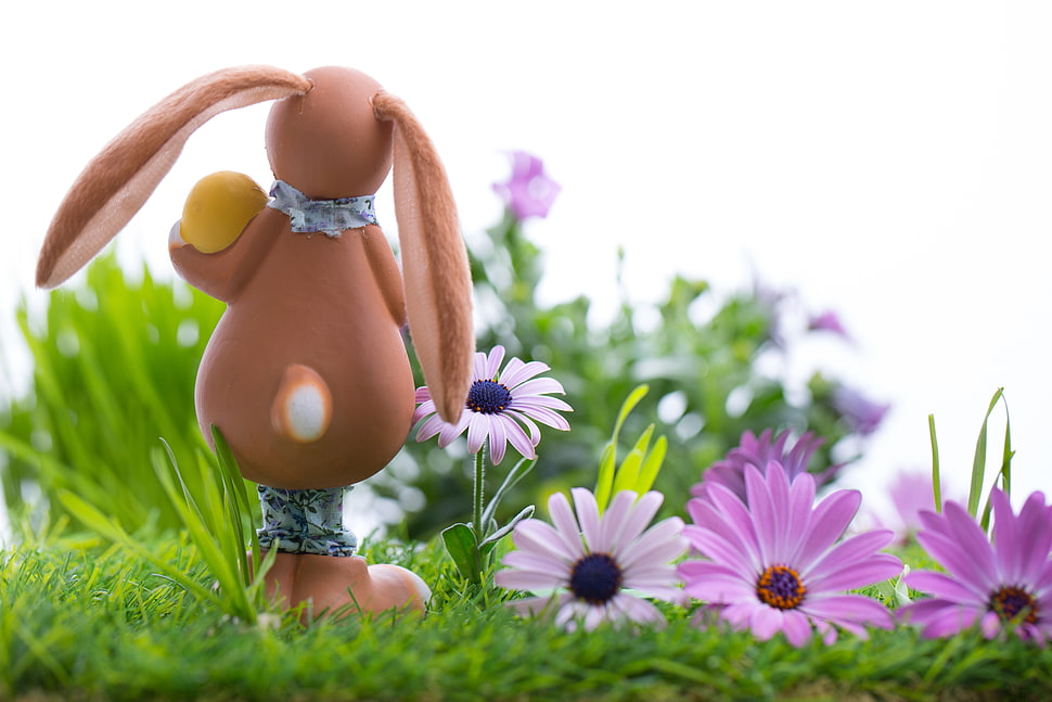 brown bunny figurine facing purple sunflowers HD wallpaper