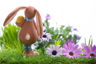 brown bunny figurine facing purple sunflowers