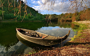 brown canoe on seashore photography