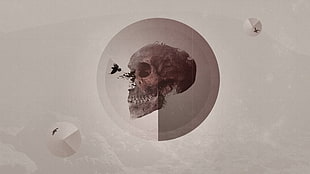 skull illustration, digital art, skull, teeth, artwork HD wallpaper