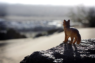 brown wolf toy on top of black rock