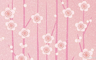 pink and white flowers illustration