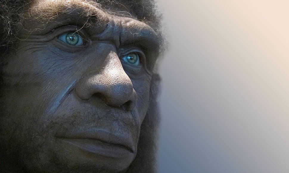 ape man HD wallpaper