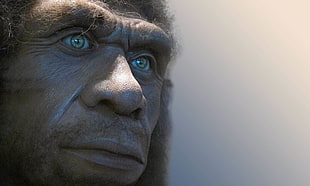 ape man HD wallpaper